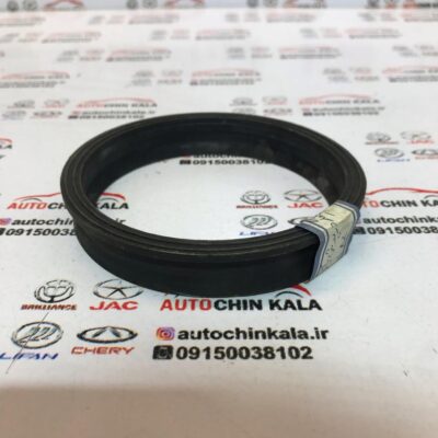 اورینگ درب باک لیفان B1101184 - 620